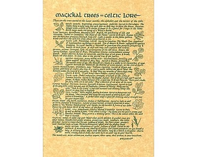 Magickal Trees Poster